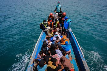 UNHCR underscores plight of Rohingya refugees amid alarming reports