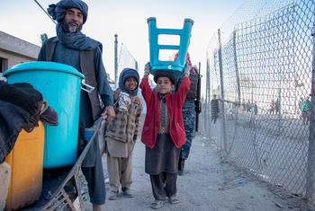 在阿富汗坎大哈，一个流离失所的家庭在搬运他们的财物。