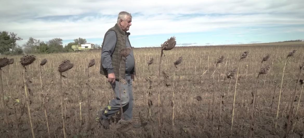 В 2022 году из-за войны Украина потеряла почти 20 процентов производства зерновых и масличных культур