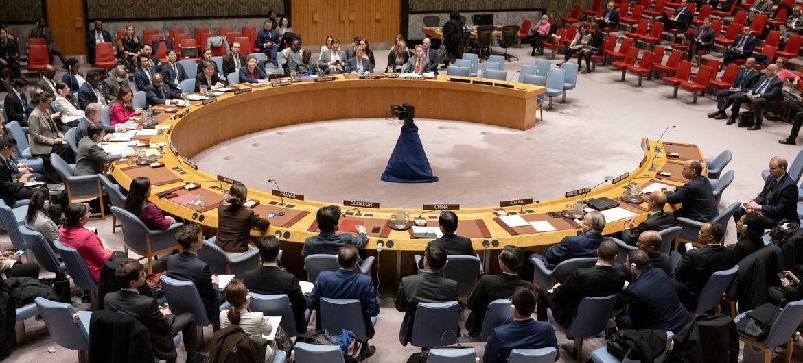 联合国安理会成员开会讨论苏丹局势。