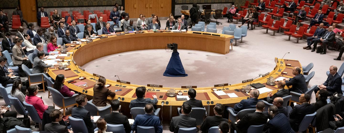   Vue d'ensemble du Conseil de sécurité de l'ONU, dont les membres se réunissent pour discuter de la situation au Soudan.