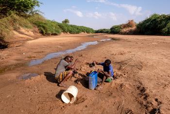 Un homme avec ses enfants collecte de l'eau de la rivière asséchée Dollow, en Somalie.