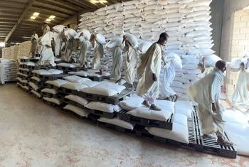 पोर्ट सूडान में WFP के खाद्य सामग्री भंडार में, आपात वितरण के लिए खाद्य सामग्री भरे जाते हुए.