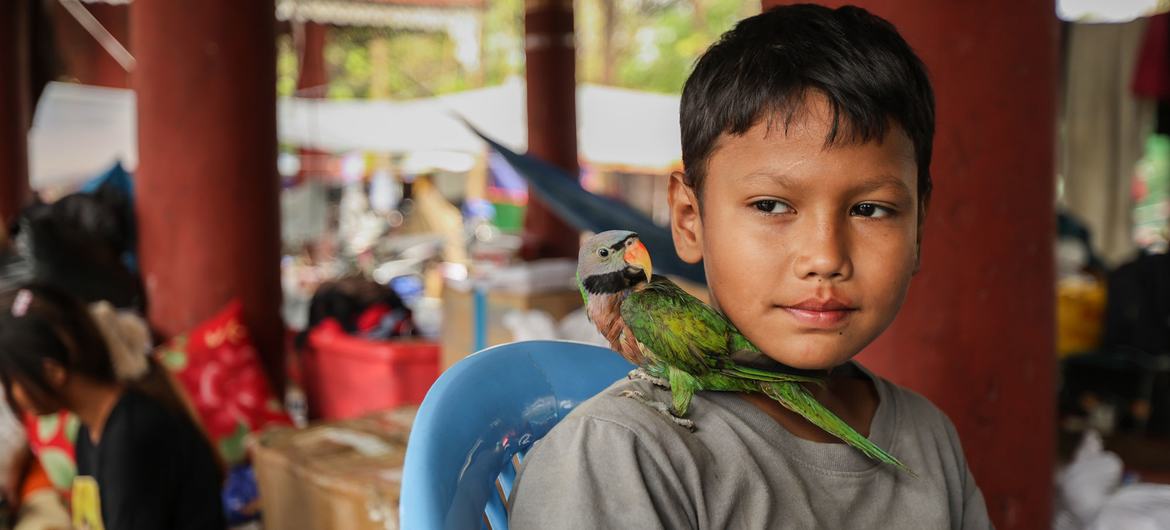 A 10-year-old boy with his parrot on his shoulder at a temporary camp set up in the aftermath of devastating earthquake that struck Myanmar. A 10-year-old boy with his parrot on his shoulder at a temporary camp set up in the aftermath of devastating earthquake that struck Myanmar.