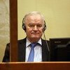 Ратко Младич предстал перед Апелляционной палатой МРККТ в Гааге в наушниках и костюме.