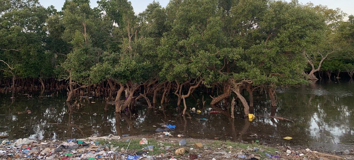 Pollution plastique à Vanga, une ville côtière du Kenya.
