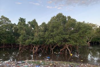 Pollution plastique à Vanga, une ville côtière du Kenya.