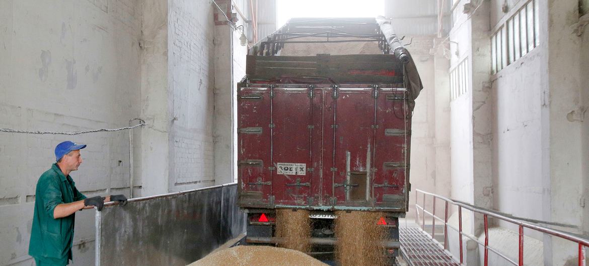 Wheat is processed at a granary in Chernihiv, Ukraine. (file)