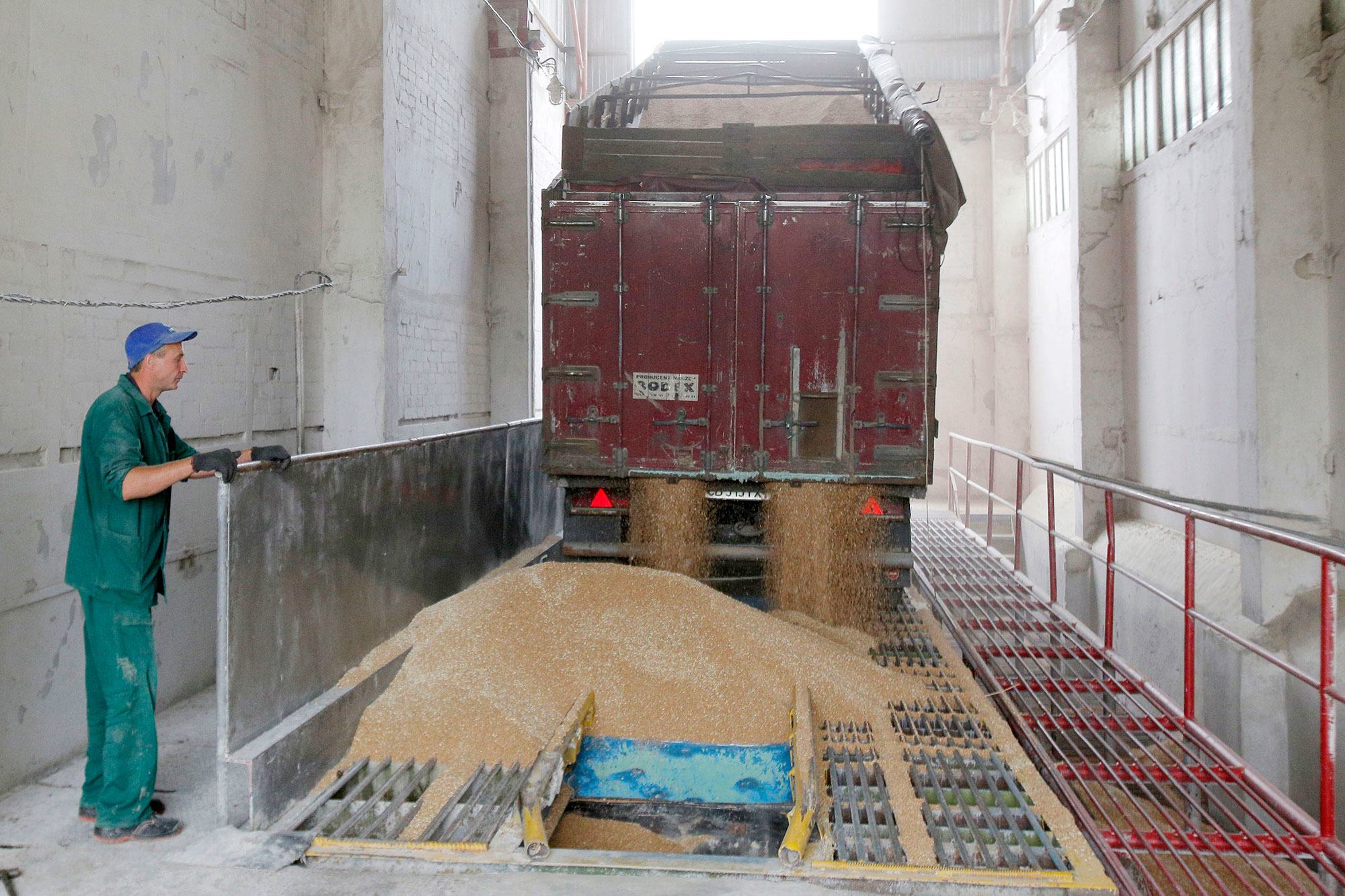 من الأرشيف: معالجة القمح في مخزن الحبوب في تشيرنيهيف، أوكرانيا