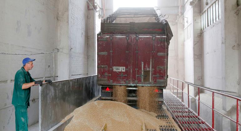 Le blé est transformé dans un grenier à Tchernihiv, en Ukraine. (archives))