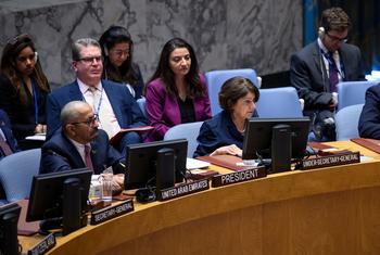 Розмари ДиКарло (справа), заместитель Генерального секретаря ООН на заседании Совета Безопасности.