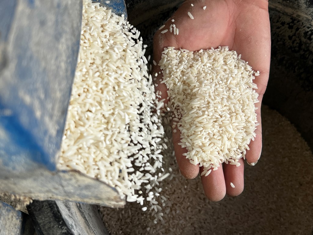 Le riz est moulu par l'Association des irrigants de Liton, Kibales et Magatos.