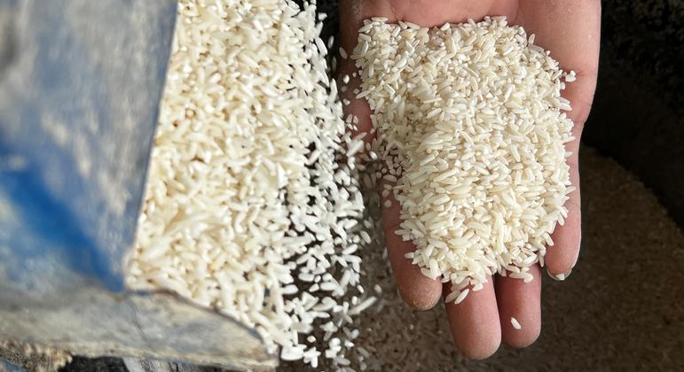 फ़िलिपीन्स में सहकारी अन्तरधार्मिक सहकारिता के सहारे पैदा हुआ चावल.