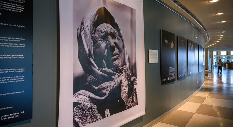 [UN News photo]