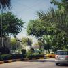 سيارة فضية وسيارة أجرة صفراء تسيران على طول شارع تصطف على جانبيه أشجار النخيل وغيرها من المساحات الخضراء، مع وجود تمثال في دوار مُنسق في الخلفية.