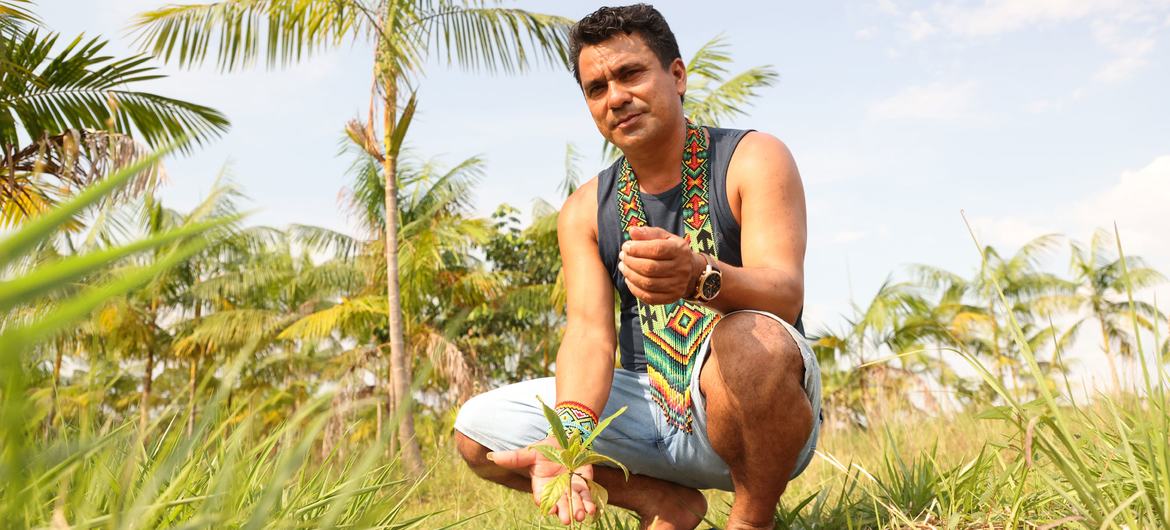 A member of an indigenous group in the Amazon, in Brazil, works to reforest the land.