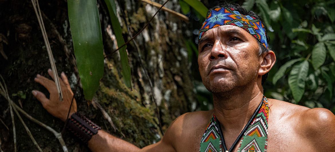 O chefe Joel Puyanawa diz que as técnicas agrícolas tradicionais, incluindo o plantio de árvores de madeira dura, ajudaram a limitar o desmatamento no território Puyanawa