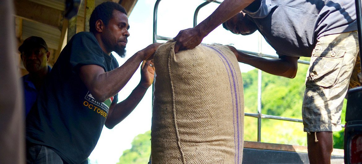 A forte dependência de matérias-primas, como o cacau, aumentou globalmente, deixando cerca de dois terços dos países em desenvolvimento, como Vanuatu, vulneráveis ​​a choques econômicos.