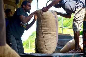 A forte dependência de matérias-primas, como o cacau, aumentou globalmente, deixando cerca de dois terços dos países em desenvolvimento, como Vanuatu, vulneráveis ​​a choques econômicos.