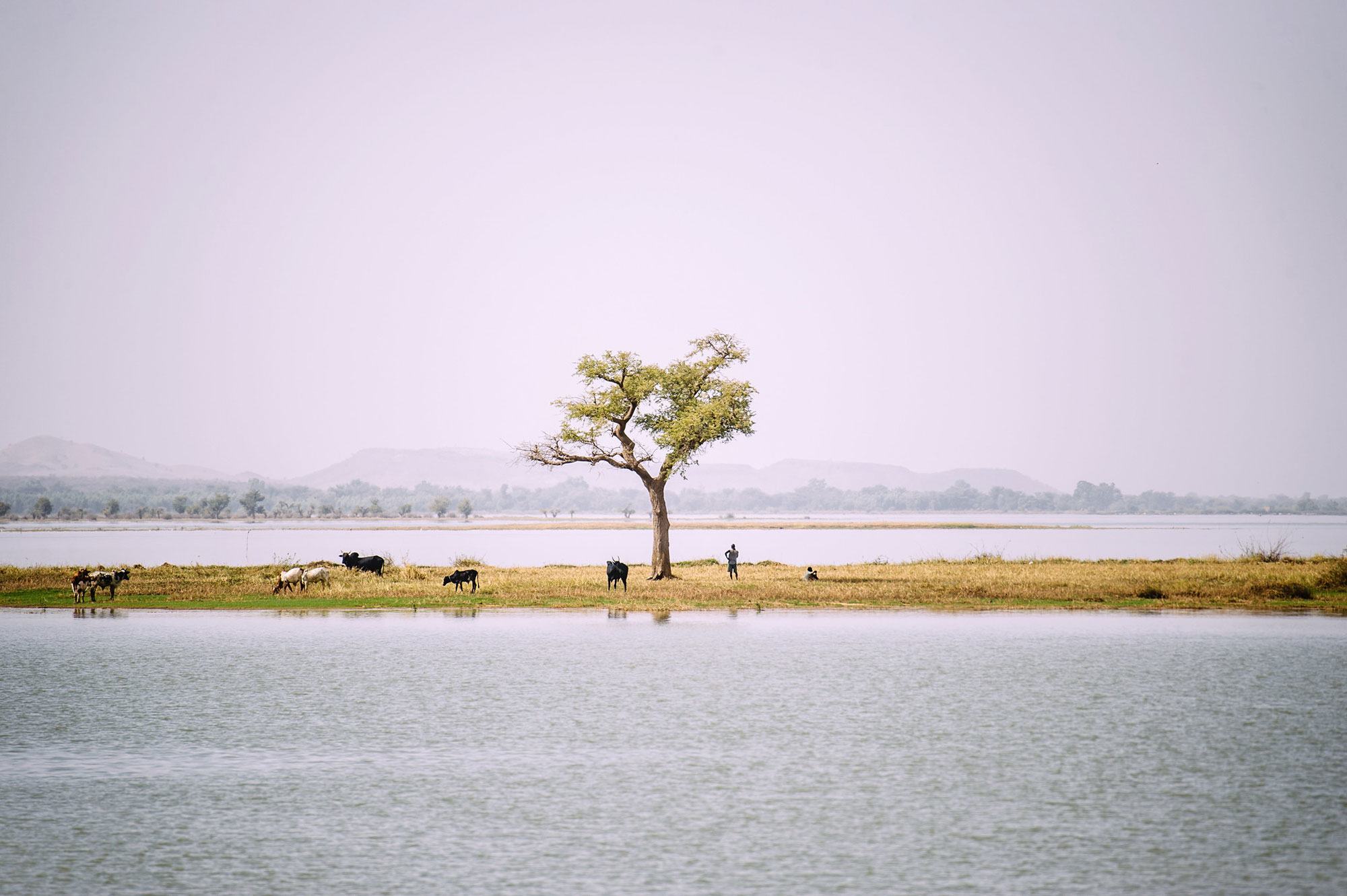 تواجه بحيرة بام، الواقعة في منطقة الوسط الشمالي في بوركينا فاسو، على بعد مائة كيلومتر من واغادوغو، تحديات بيئية هائلة.