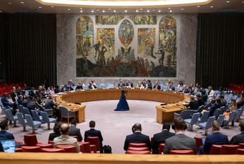 أرشيف: قاعة مجلس الأمن الدولي