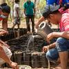 Un grupo de personas atiende un vivero de semillas en un proyecto del Programa Mundial de Alimentos (PMA) en Honduras para adaptación al cambio climático.
