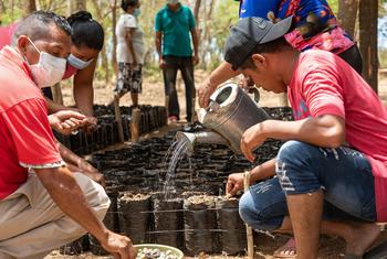 Un grupo de personas atiende un vivero de semillas en un proyecto del Programa Mundial de Alimentos (PMA) en Honduras para adaptación al cambio climático.