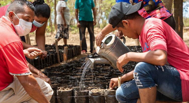 América Latina necesita aumentar su recaudación tributaria para invertir en desarrollo sostenible. En la imagen, un grupo de personas atiende un vivero de semillas en un proyecto del Programa Mundial de Alimentos (PMA) en Honduras para adaptación al camb…