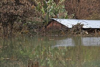 Последствия урагана Эта в Гватемале.