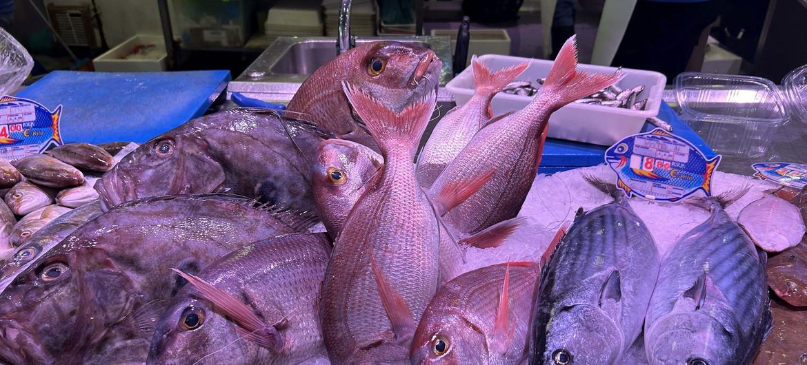 media:entermedia_image:40bcbeda-b194-4fcf-9362-0c7180d7d89b