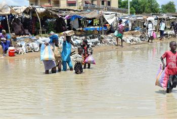 The rivers Chari and Logone overflow in N'Djamena, after the heaviest rainy season in Chad in thirty years.
