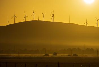 通过风力发电场发电，可以减少对燃煤能源的依赖。