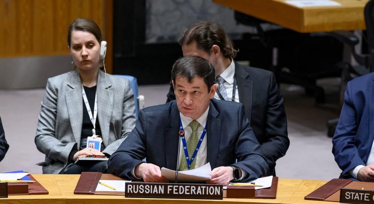 俄罗斯常驻联合国副代表波利扬斯基在安理会发言。