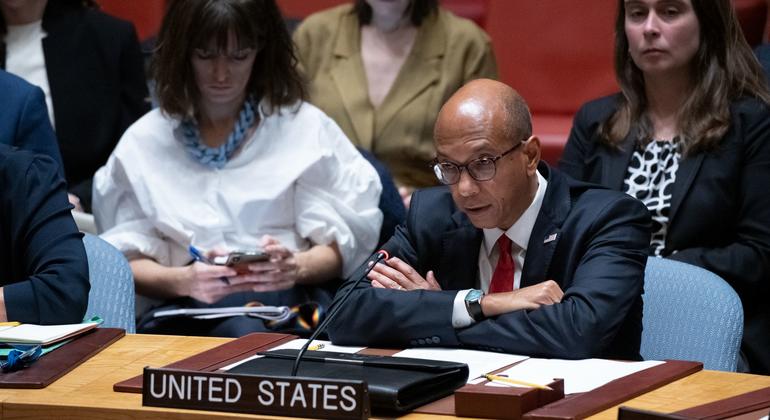 美国常驻联合国副代表伍德在安理会发言。
