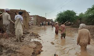 पाकिस्तान में अभूतपूर्व बाढ़ के कारण उपजी स्थिति से लाखों लोगों के निर्धनता के गर्त में धँसने का जोखिम है.
