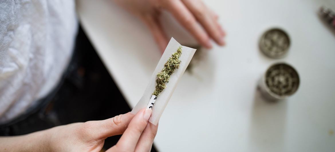 La legalización de la marihuana disminuye la percepción del riesgo de consumirla.