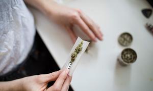 Con 244 millones de usuarios, el cannabis continúa siendo la droga más utilizada.