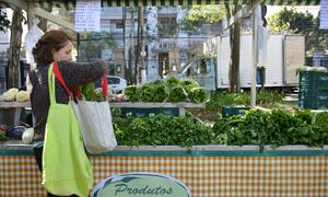 Reducir el desperdicio de alimentos y promover el consumo sostenible son claves para combatir la inseguridad alimentaria, según expertos.
