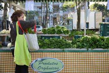 Reducir el desperdicio de alimentos y promover el consumo sostenible son claves para combatir la inseguridad alimentaria, según expertos. Reducir el desperdicio de alimentos y promover el consumo sostenible son claves para combatir la inseguridad alimentaria, según expertos.