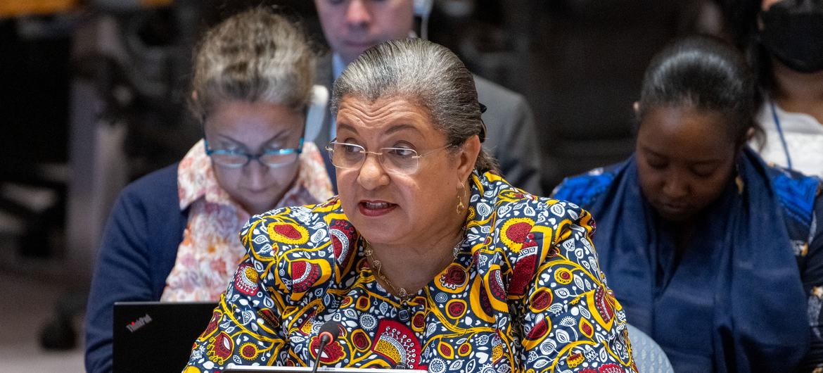 Hanna Serwaa Tetteh, Enviada Especial del Secretario General de la ONU para el Cuerno de África, informa a los miembros del Consejo de Seguridad de la ONU sobre la situación en Abyei.