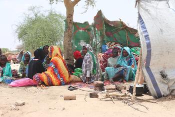Sudanese refugees who fled the conflict in Sudan sit in makeshift shelters in Koufron, Chad.