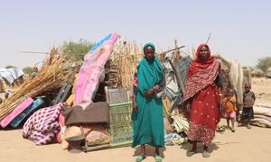 Sudanese refugees who fled the conflict in Sudan have built makeshift shelters in Koufroun, Chad.