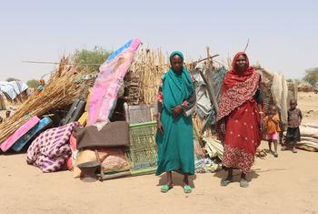 Sudanese refugees who fled the conflict in Sudan have built makeshift shelters in Koufroun, Chad.