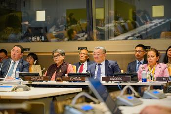 中国常驻联合国代表傅聪与联合国最不发达国家、内陆发展中国家和小岛屿发展中国家高级代表法蒂玛参加进博会咨商座谈会。