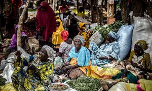 Women sell okra at a market in Tanout, Niger.