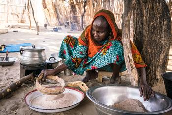 चाड के ग्रामीण इलाक़े में एक महिला अपने लिए खाना पका रही है.