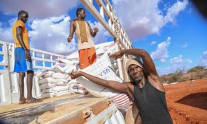 Wheat is loaded onto a truck heading to the Somali region in Ethiopia.