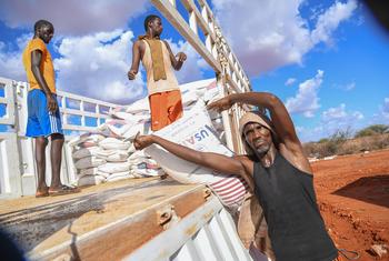 小麦被装上一辆开往埃塞俄比亚索马里地区的卡车。
