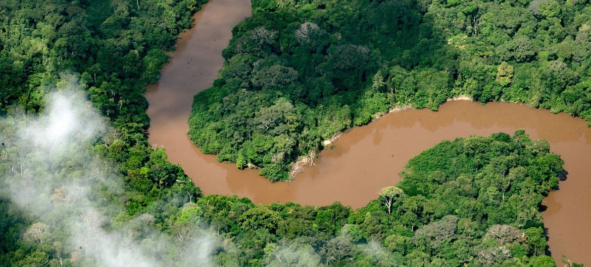 La sequía, sin precedentes desde el año pasado y que ha dejado los ríos de la cuenca del Amazonas en su nivel más bajo. las familias dependen de esos caudales para transportar y acceder a alimentos, agua, combustible y suministros médicos básicos, así co…