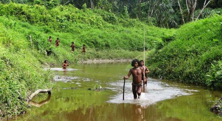 The Shompen or Shom Pen people are indigenous people living in the interior of Great Nicobar Island, part of the Indian union territory of Andaman and Nicobar Islands.